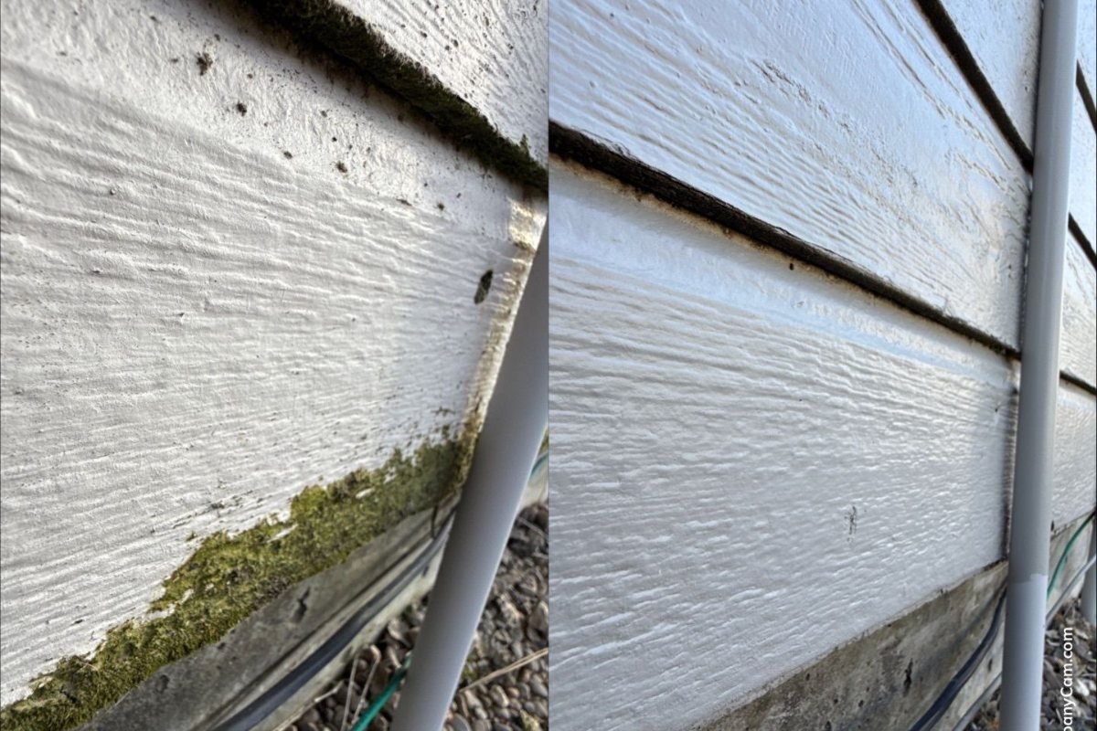 Wood Siding Restoration