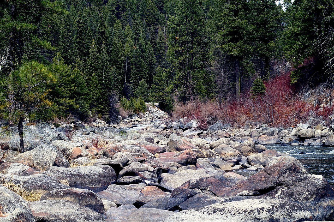 Treasure Valley National Forest