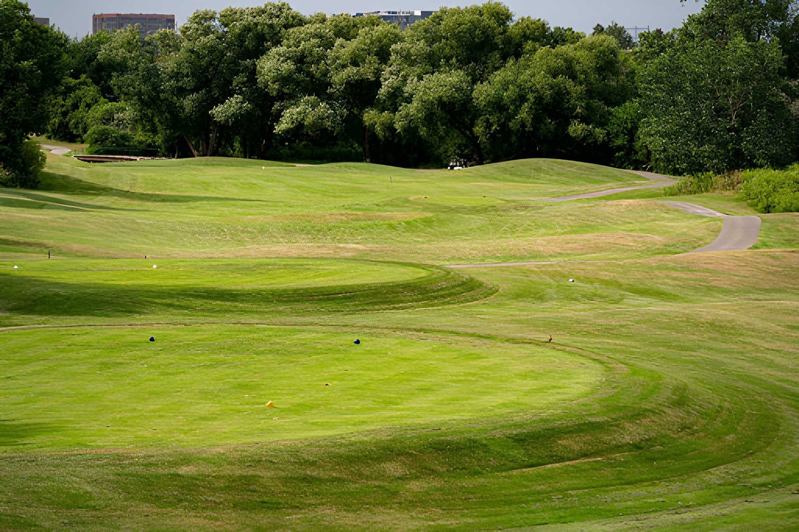 Fairview Golf Course Area