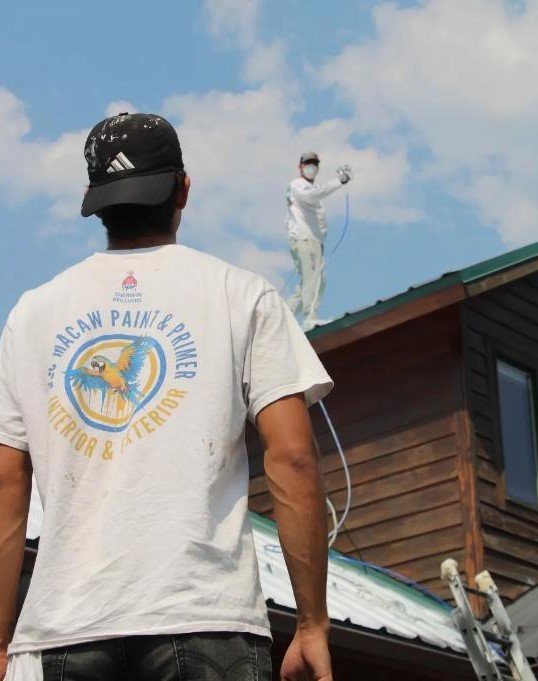 Professional Roof Painting